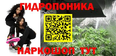гашиш Канаш