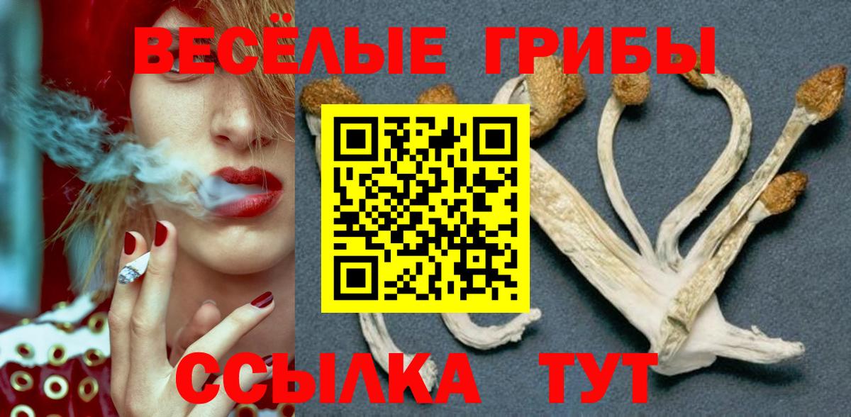 Галлюциногенные грибы Magic Shrooms  Галлюциногенные грибы Psilocybine cubensis  Псков  Вход с VPN 